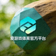 爱游戏体育官方平台页脚标志，青色渐变小型图标